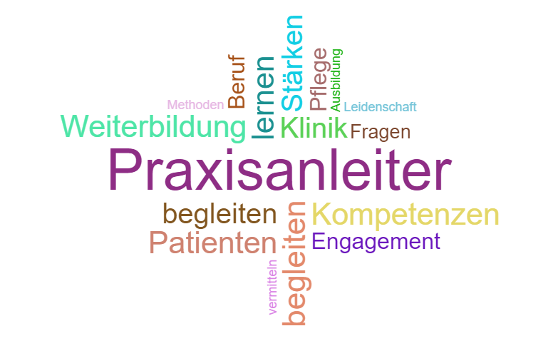 Praxisanleiter Grafik zu Praxisanleiter